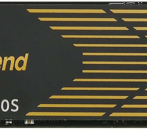 Transcend MTE250S 1 TB PCIe 4.0 NVMe SSD mit Kühlkörper